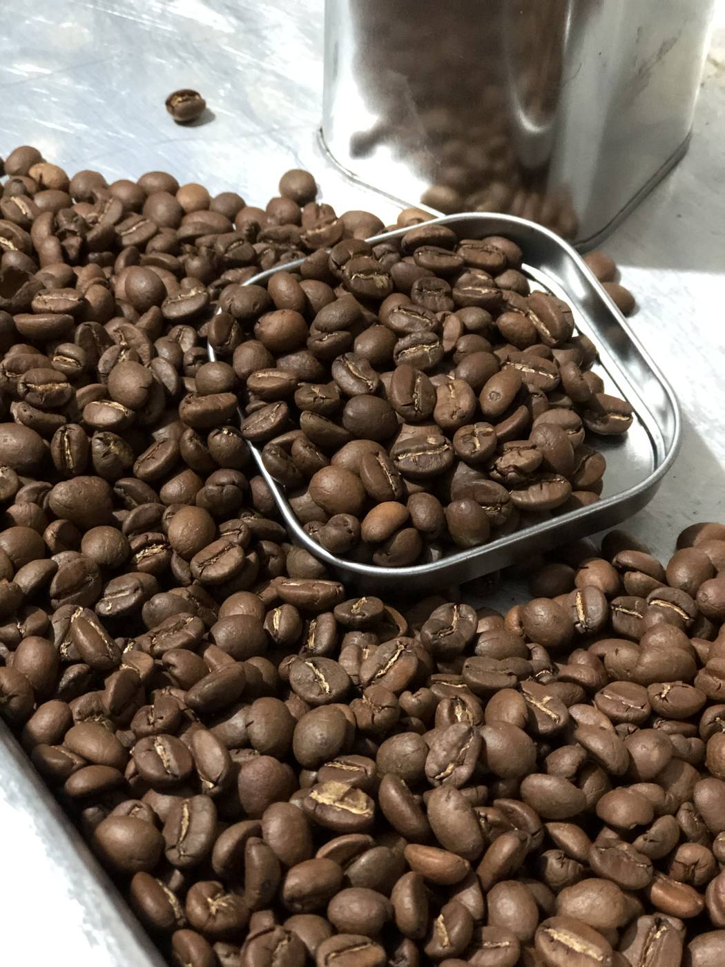 Roasted coffee beans