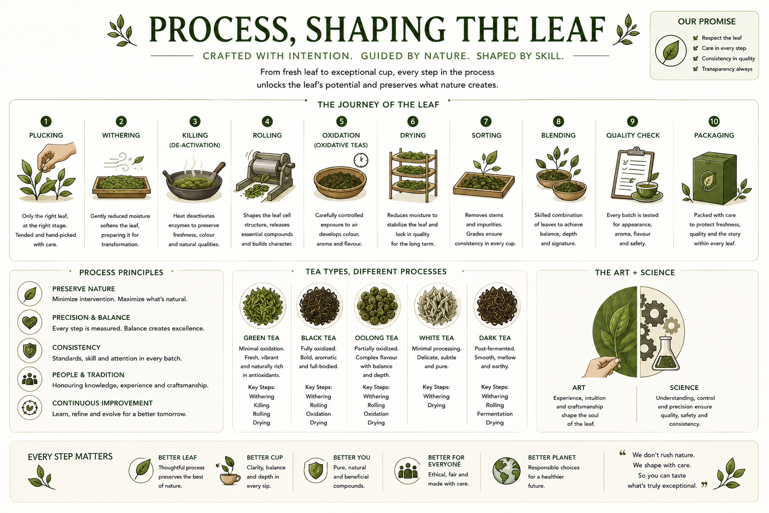 Process — Shaping the Leaf