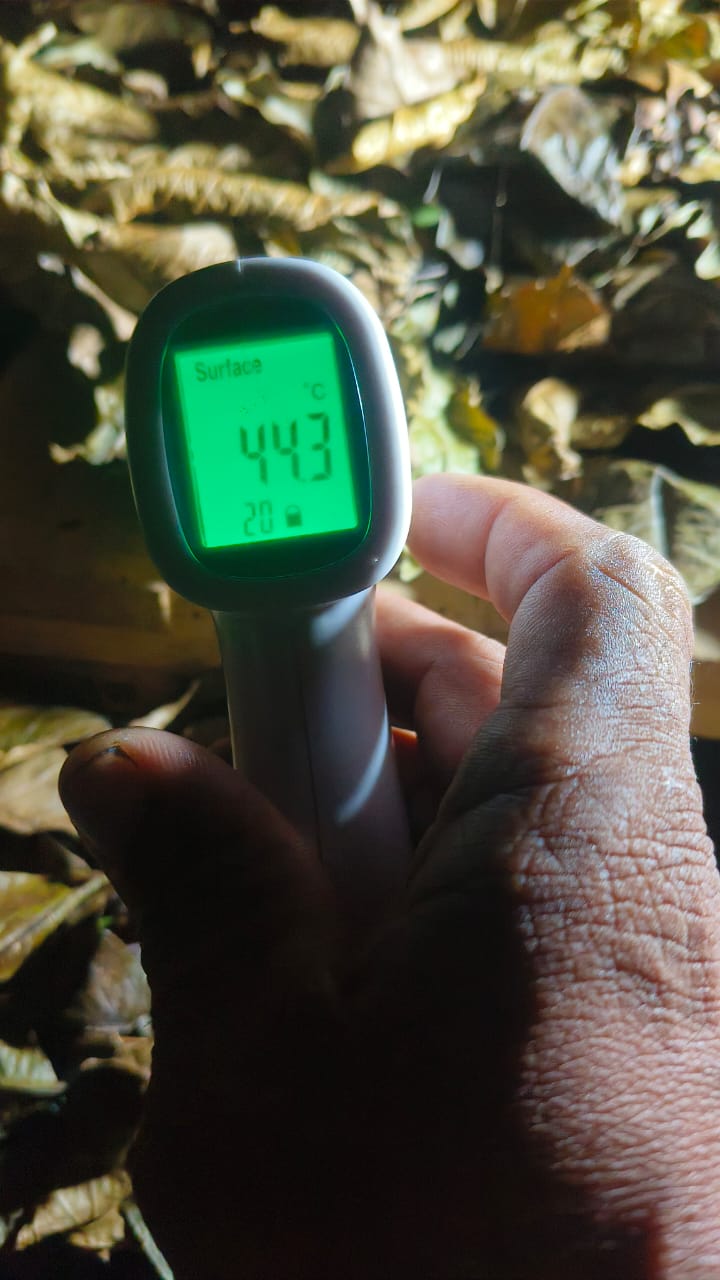Temperature reading 44.1°C mid-drying