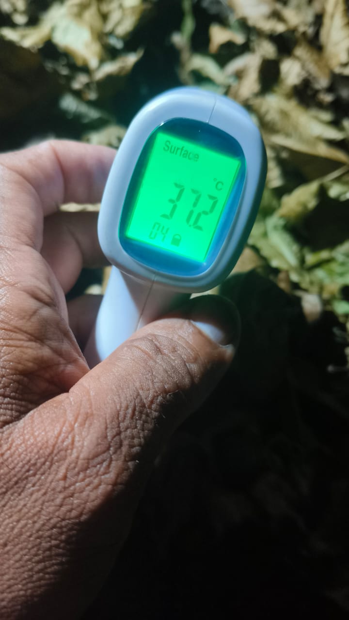 Temperature reading 77.2°C