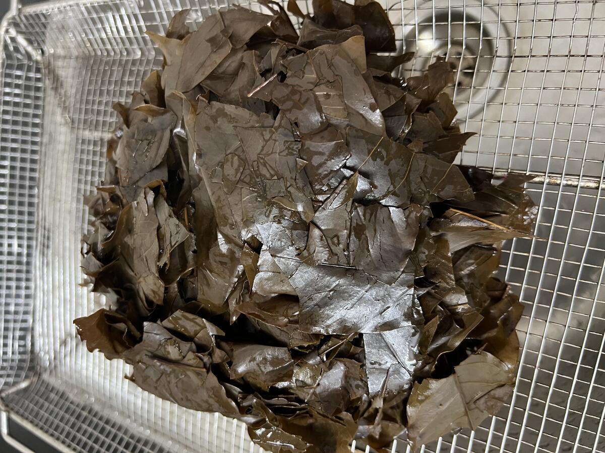 Straining liquor through mesh